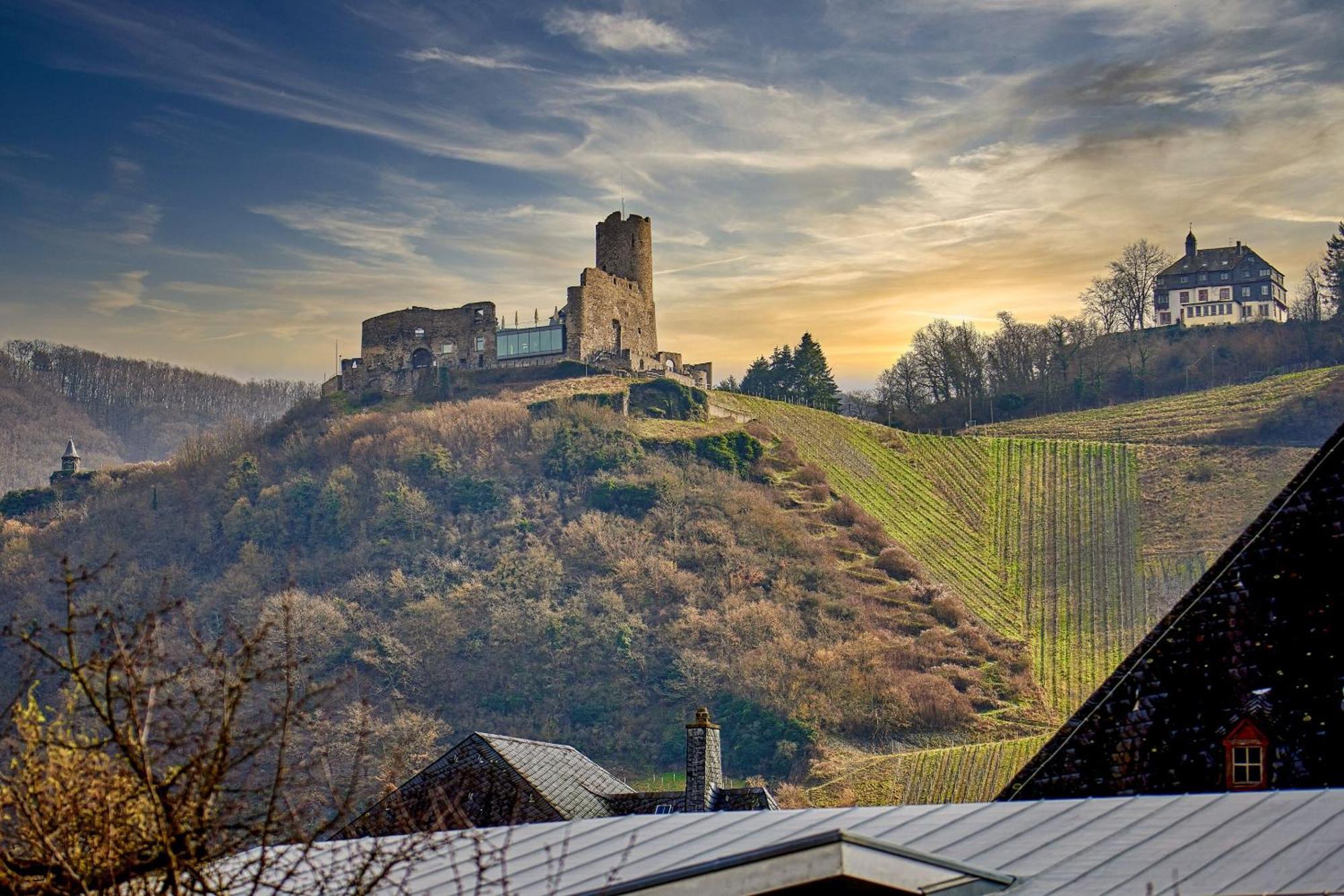 Weinquartier11 Villa Bernkastel-Kues Eksteriør billede