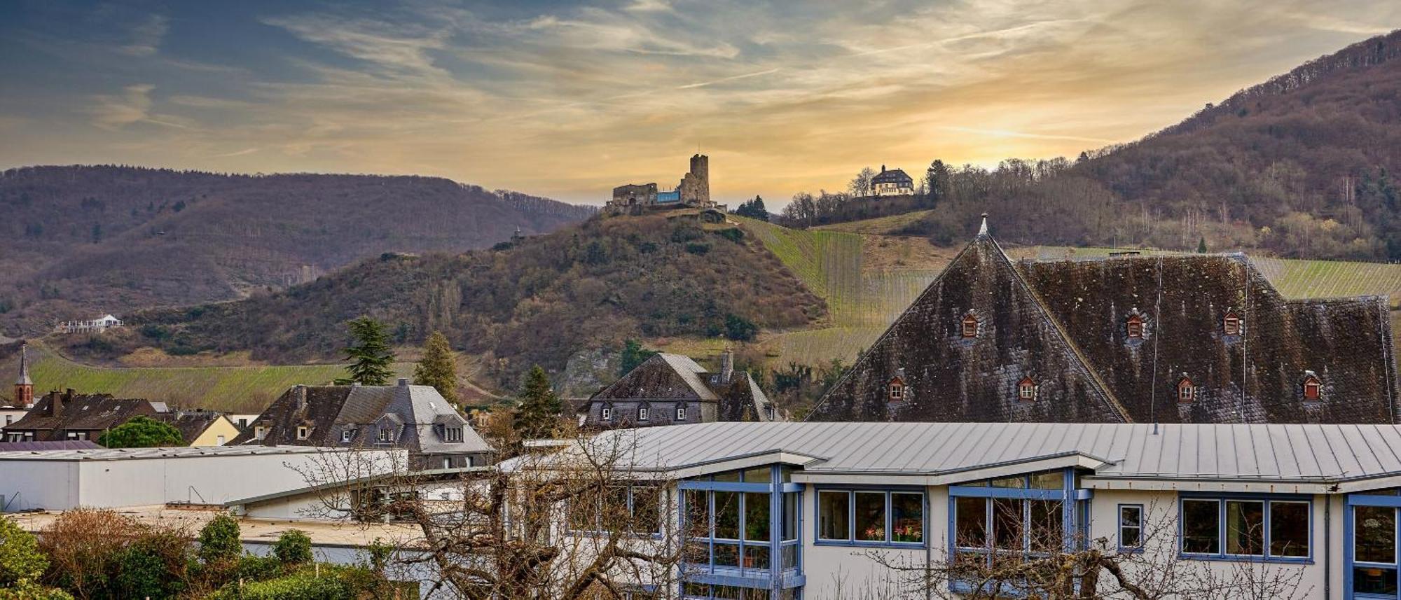 Weinquartier11 Villa Bernkastel-Kues Eksteriør billede